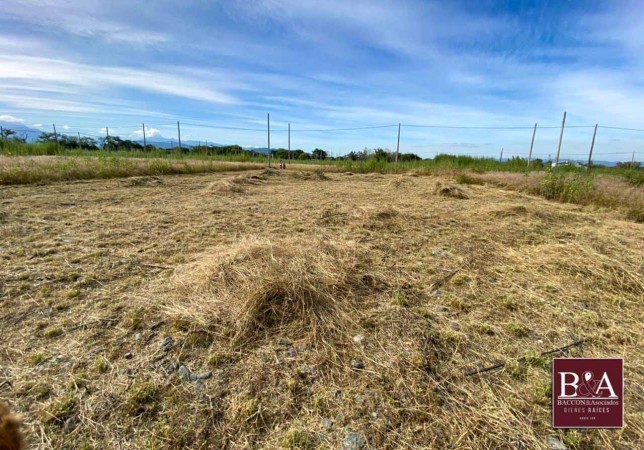 Venta Terreno La Carlota