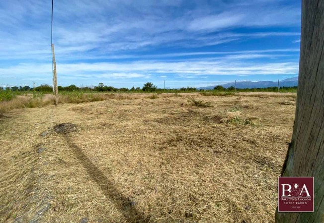 Venta Terreno La Carlota