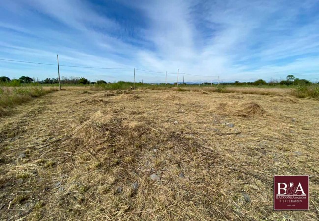 Venta Terreno La Carlota