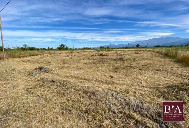Venta Terreno La Carlota
