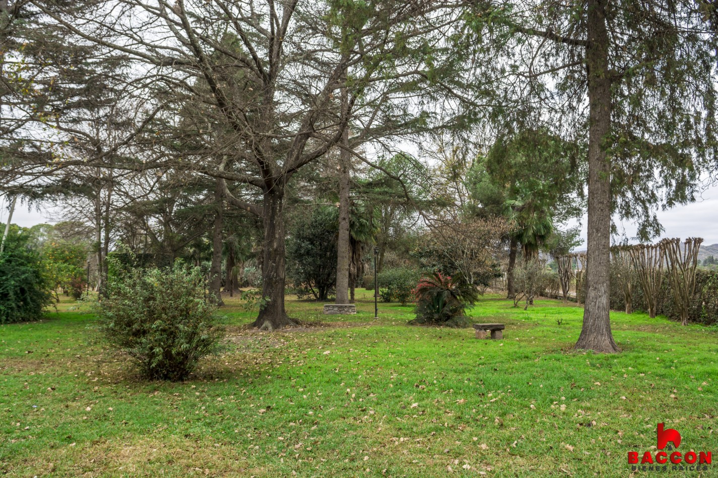 Finca "La Falda" Cerrillos