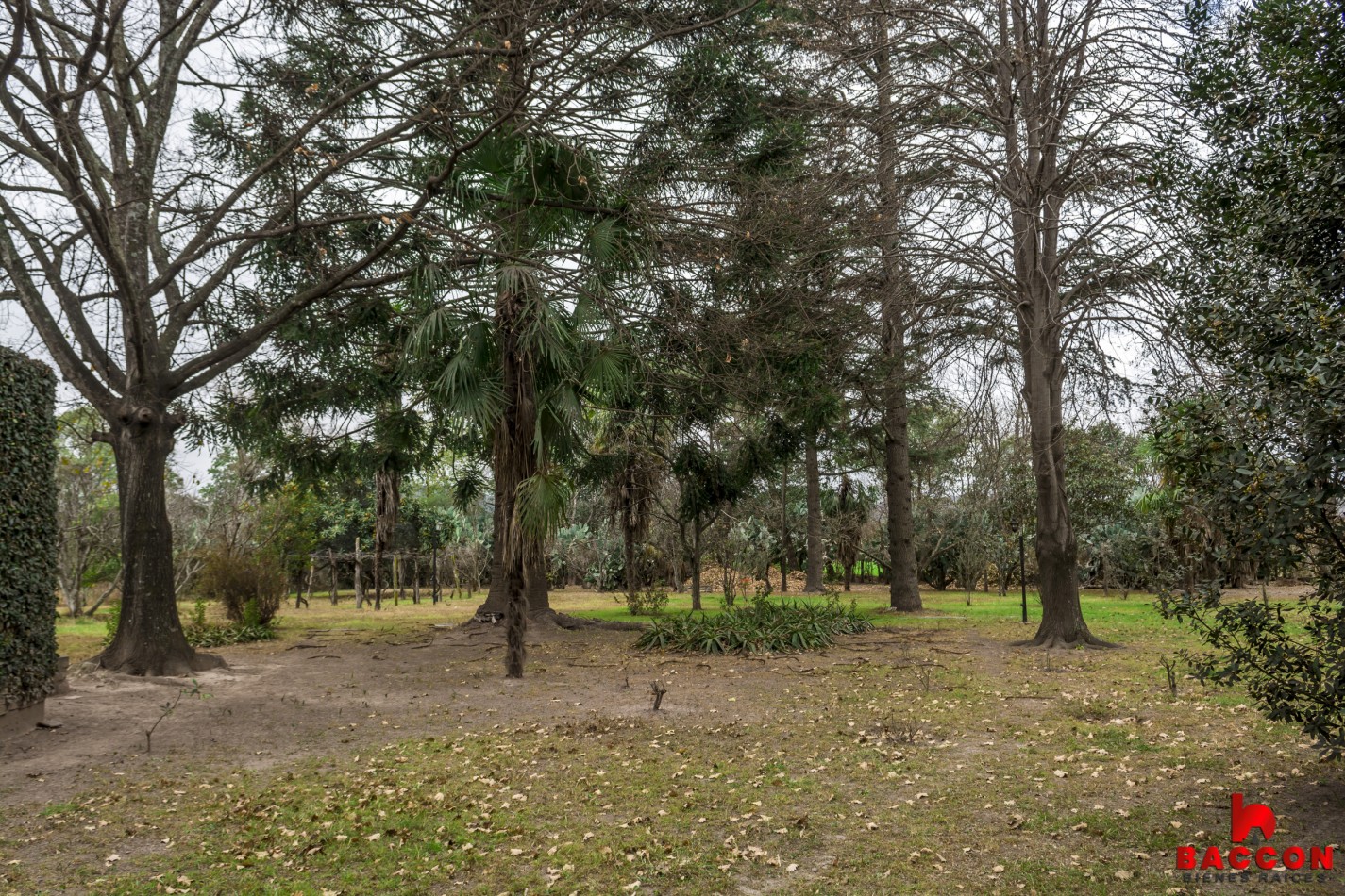 Finca "La Falda" Cerrillos