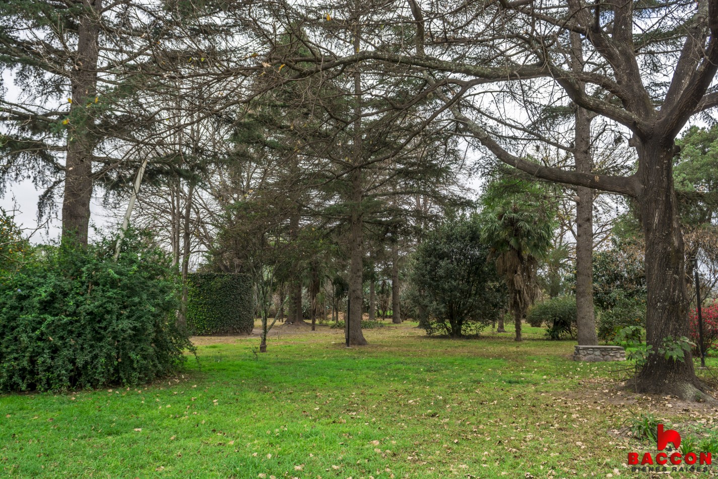 Finca "La Falda" Cerrillos