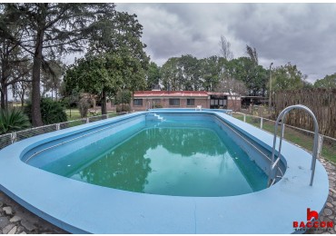 Finca "La Falda" Cerrillos 